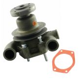 3641823M91 Water pump - Massey Ferguson Tractor